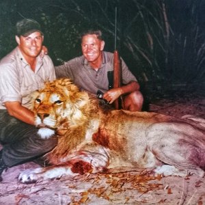 Dennis Blackbeard and Jess Beal with a magnificent lion-Northeastern Botswana