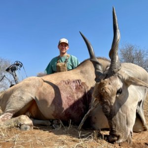 Eland Bow Hunting Namibia