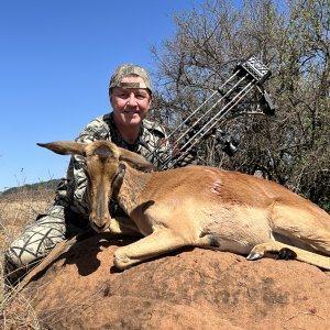 Impala Ewe Bow Hunting South Africa
