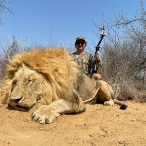 Lion Bow Hunting South Africa