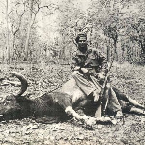Hunting Kouprey Indochina