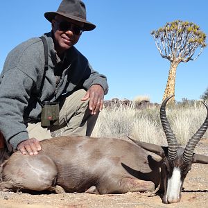 Black Springbok Hunting Namibia