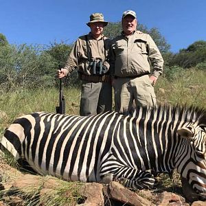 Hunting Hartmann's Mountain Zebra in Namibia