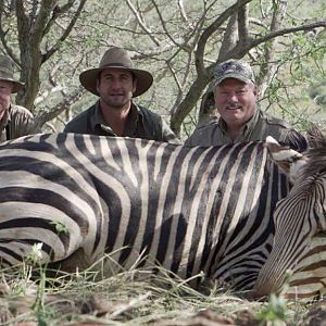 Hartmann's Mountain Zebra Hunting Namibia