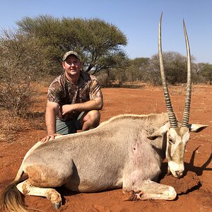 Hunting Golden Gemsbok in South Africa