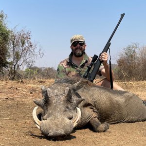 Hunting Warthog Zimbabwe