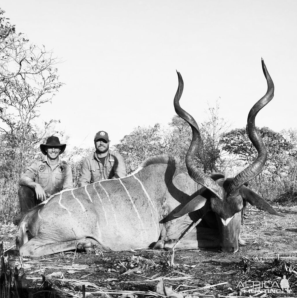 Kudu Tanzania Hunting
