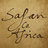 Safari Co. Africa