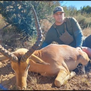 Eastern Cape South Africa Hunt 2022