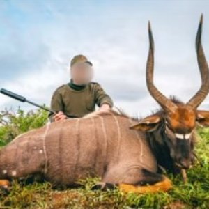 Eastern Cape Zero Daily Rate Packages - 2024 | Hunting South Africa