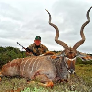 Eastern Cape Kudu Packages - 2024 | Hunting South Africa