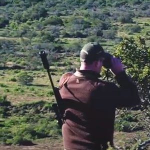 Successful Cull Hunt | Eastern Cape - South Africa