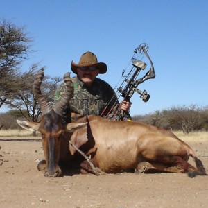 Bow Hunting Red Hartebeest in Namibia