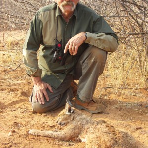 Caracal Hunting in Namibia