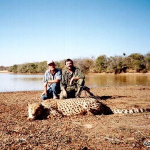Cheetah Hunting in Namibia