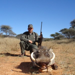 Warthog Hunting in Namibia