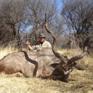 Beautiful Greater Kudu from Namibia