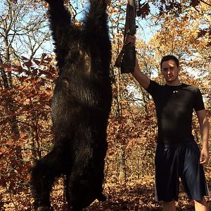 Black Bear Hunt USA