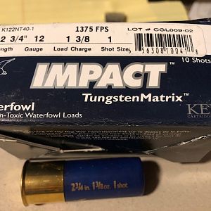 Impact 12G Tungsten Matrix load