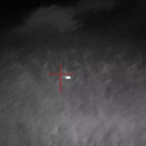 Jackal hunting with the ATN night site