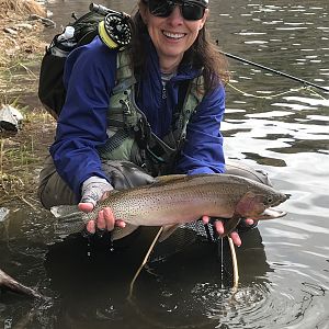 Spring Fishing in Montana