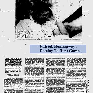 Patrick Hemingway: Destiny To Hunt Game