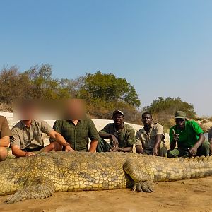 Namibia Hunting Crocodile
