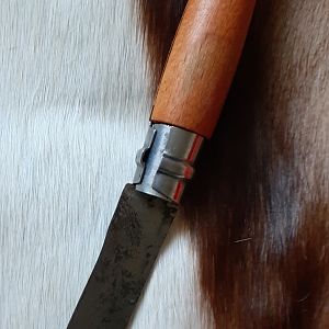 French Opinel carbon folder Knife