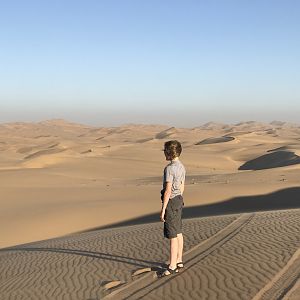 Dunes off the Skeleton coast Namibia