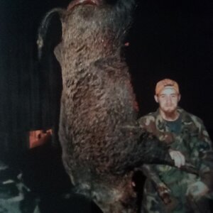 Pig Hunt USA
