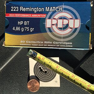 .223 Remington Match Cartridges