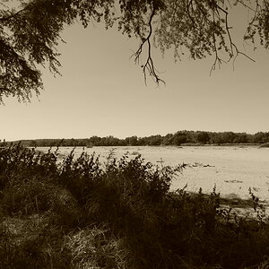 Dry river bed a kilometer across, the Shashe River Zimbabwe