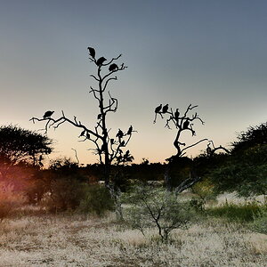 Sunset near the Zimbabwe, Botswana border