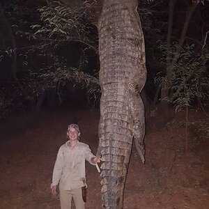 Zimbabwe Hunt Crocodile