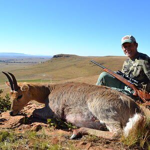 Mountain Reedbuck Hunt South Africa