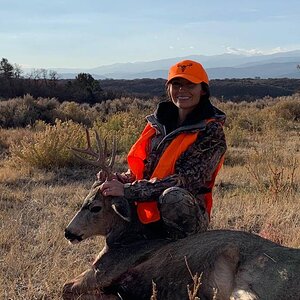 Colorado USA Hunting Mule Deer
