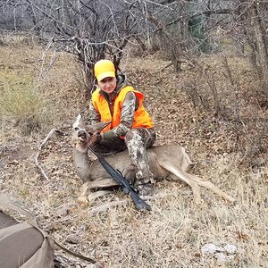 Hunt Mule Deer Colorado US