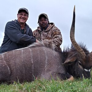 South Africa Hunt Nyala