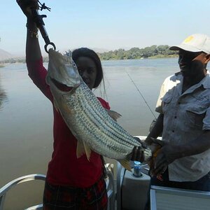 Zambia Fishing Tigerfish