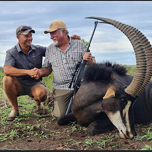 Zimbabwe Hunt Sable Antelope