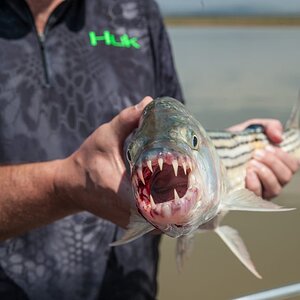 Fishing Tigerfish in South Africa