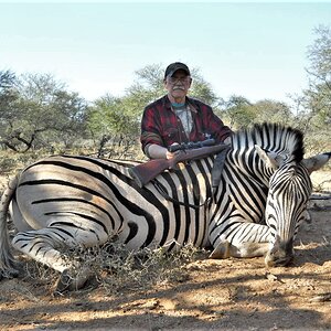 Burchell's Plain Zebra Hunting
