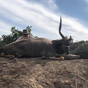 Hunting A Nyala In South Africa