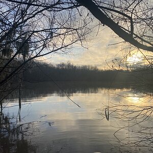 Perfect Duck Hunting Weather