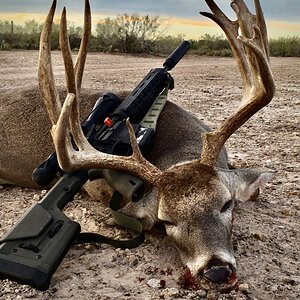 Smith & Wesson MP AR10 Hunting Rifle