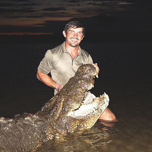 Crocodile Hunt  Namibia