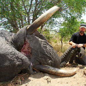 Hunting Elephant Namibia