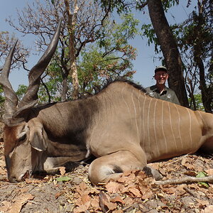 Lord Derby Eland Hunting In Cameroon