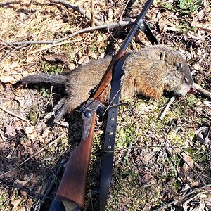 Groundhog Hunt