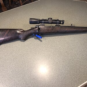 Winchester Express Rifle